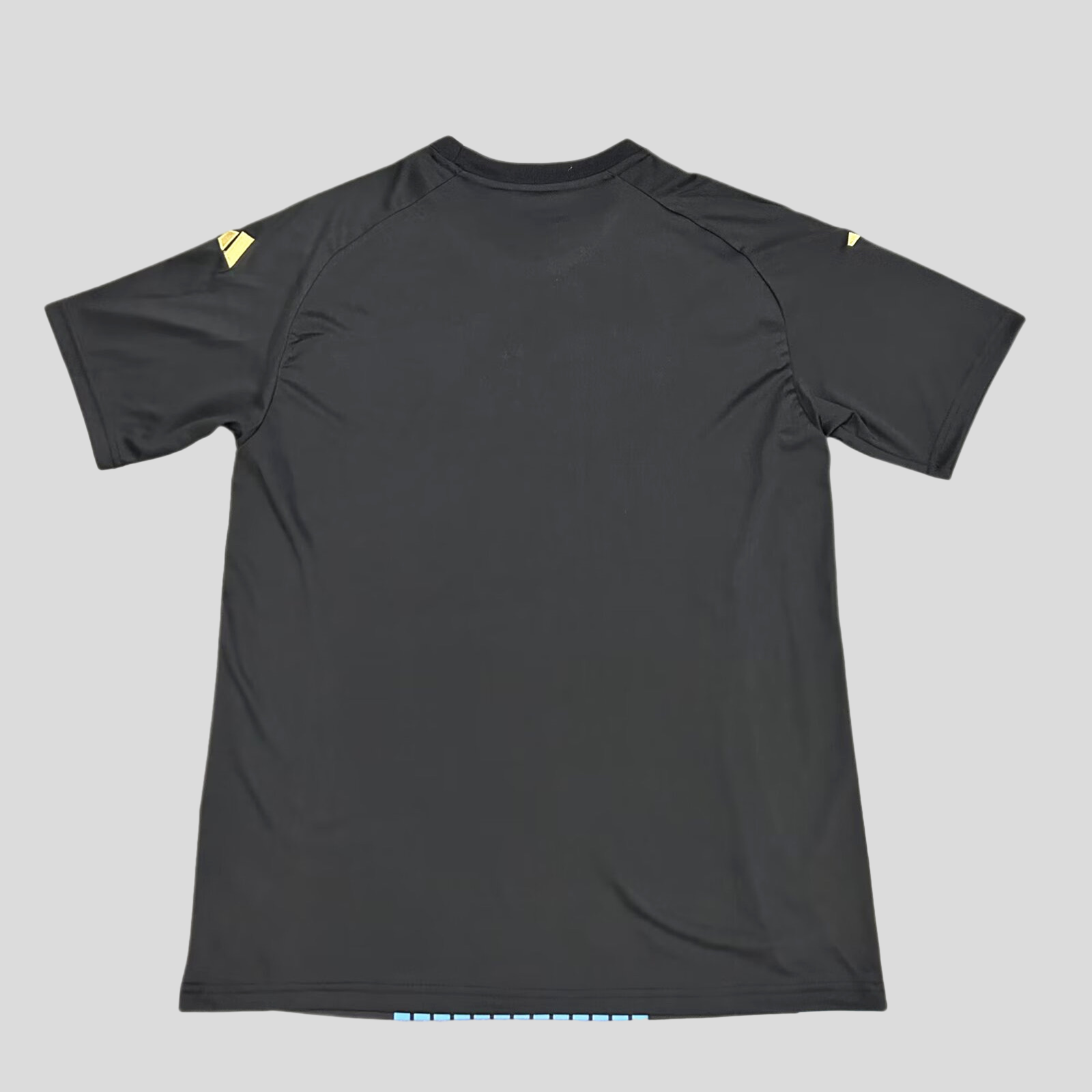 Argentine 2024/25 Pre-Match Training Jersey