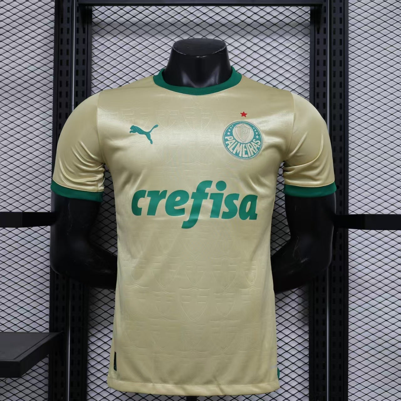 24/25 Player Palmeiras S-XXL