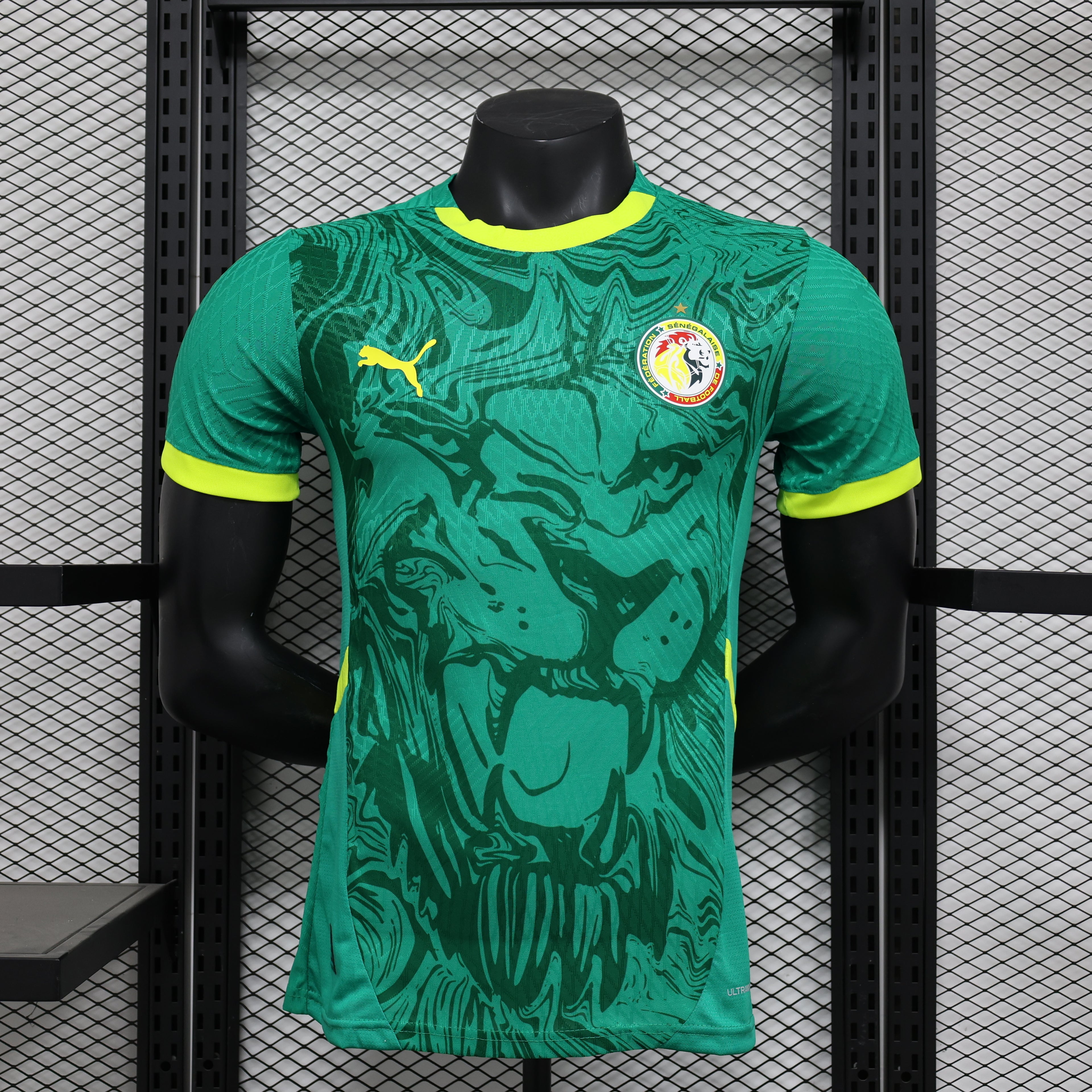 2025 Player Senegal Green S-XXL