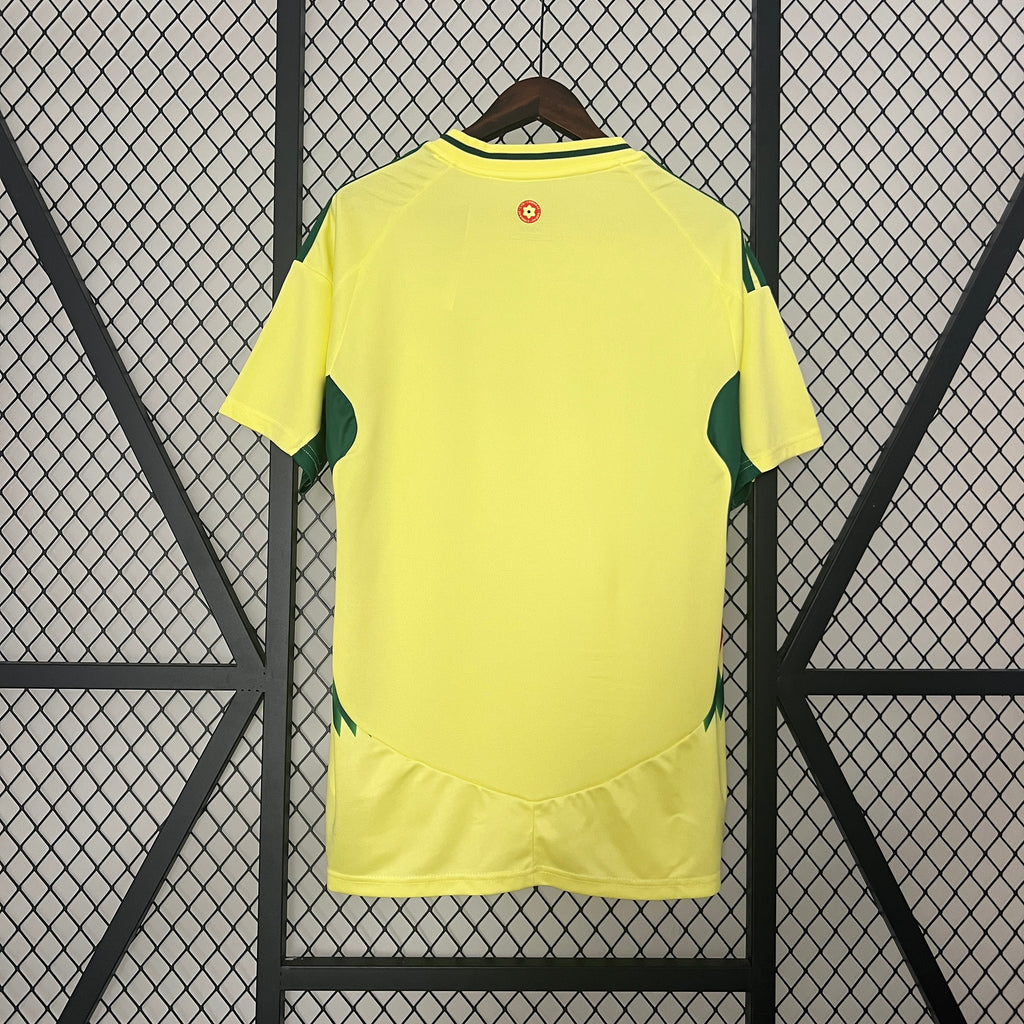 2024 Wales Away S-XXL
