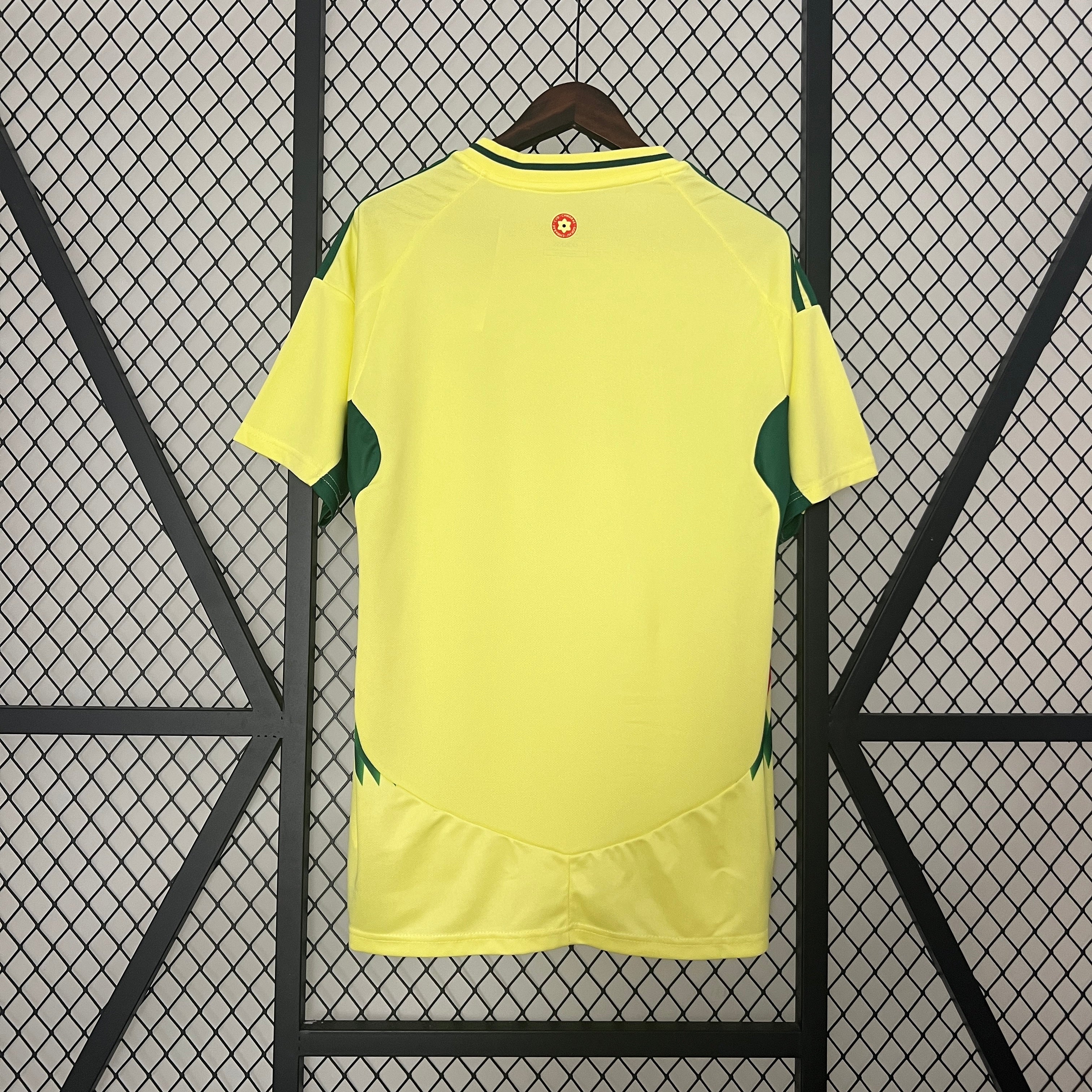 2024 Wales Away S-XXL